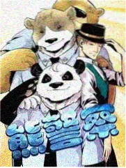 钢之炼金术师漫画幕后：衍生与外传信息